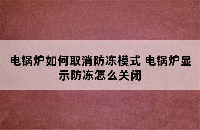 电锅炉如何取消防冻模式 电锅炉显示防冻怎么关闭